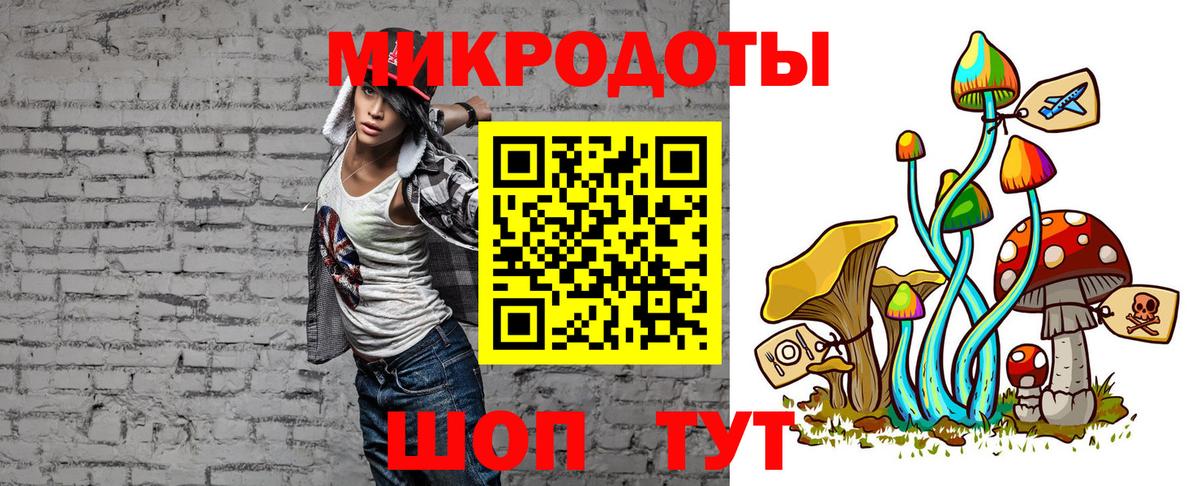 Галлюциногенные грибы Psilocybine cubensis Междуреченск