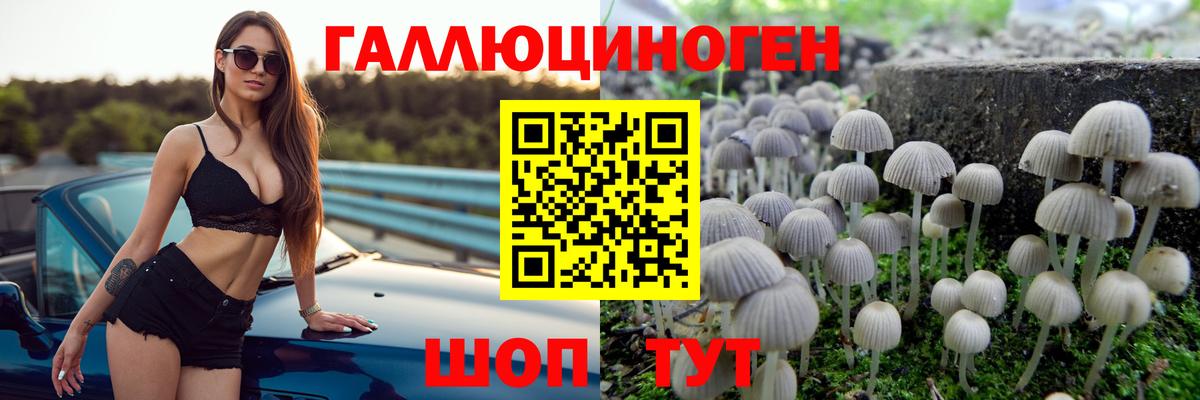 Галлюциногенные грибы MAGIC MUSHROOMS  Вход с VPN  Междуреченск  Псилоцибиновые грибы GOLDEN TEACHER 